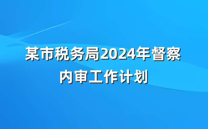 某市税务局2024年督察内审工作计划