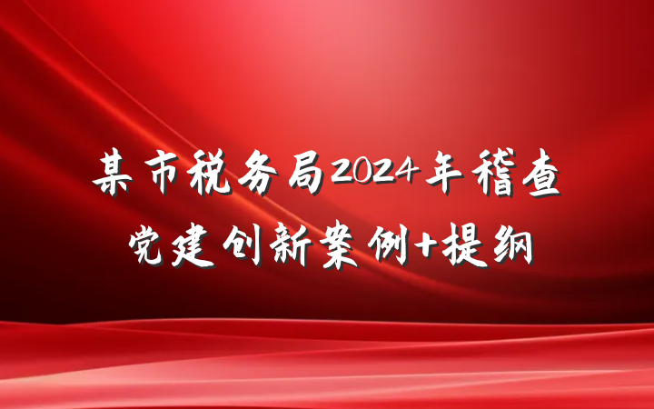 某市税务局2024年稽查党建创新案例 提纲
