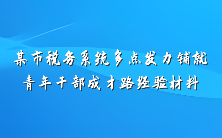 某市税务系统多点发力铺就青年干部成才路经验材料