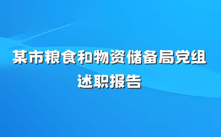某市粮食和物资储备局党组述职报告