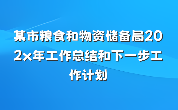 某市粮食和物资储备局202x年工作总结和下一步工作计划