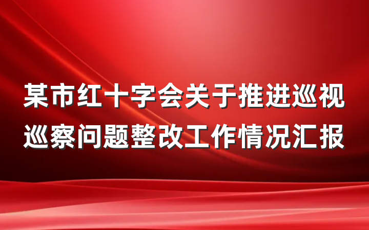 某市红十字会关于推进巡视巡察问题整改工作情况汇报