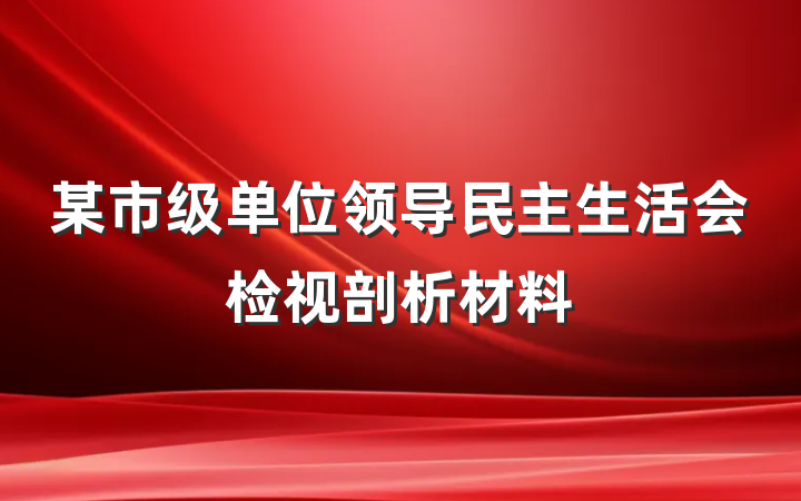 某市级单位领导民主生活会检视剖析材料
