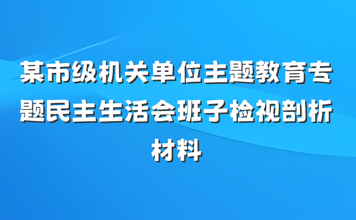 某市级机关单位主题教育专题民主生活会班子检视剖析材料