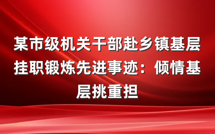 某市级机关干部赴乡镇基层挂职锻炼先进事迹：倾情基层挑重担
