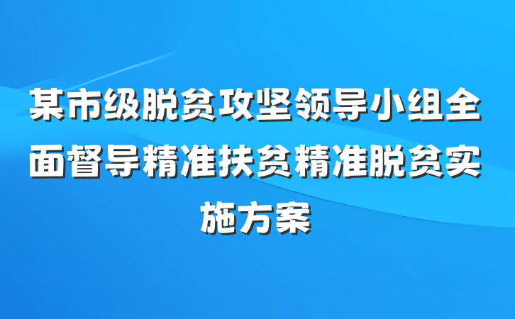 某市级脱贫攻坚领导小组全面督导精准扶贫精准脱贫实施方案