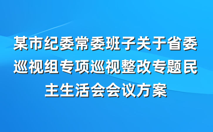 某市纪委常委班子关于省委巡视组专项巡视整改专题民主生活会会议方案