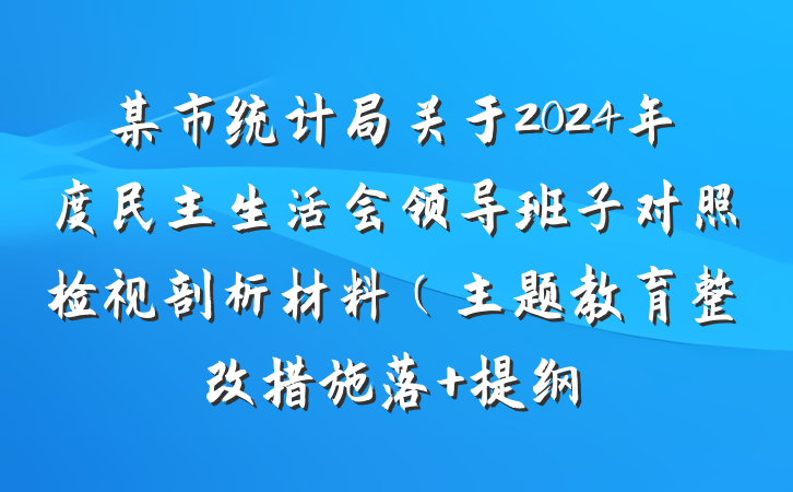 某市统计局关于2024年度民主生活会领导班子对照检视剖析材料（主题教育整改措施落 提纲