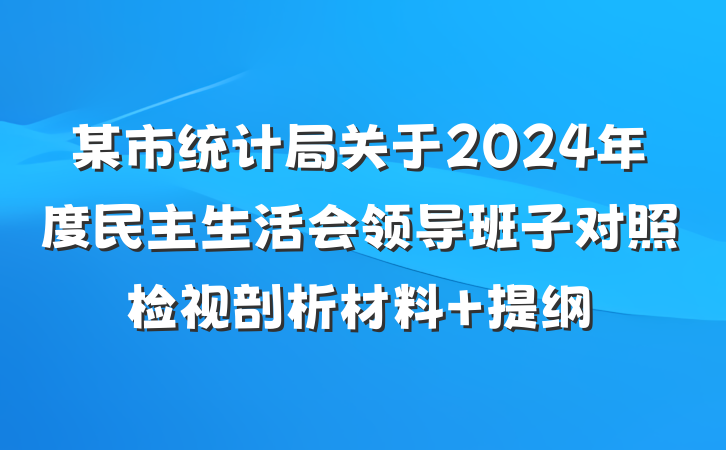 某市统计局关于2024年度民主生活会领导班子对照检视剖析材料 提纲
