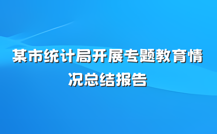 某市统计局开展专题教育情况总结报告