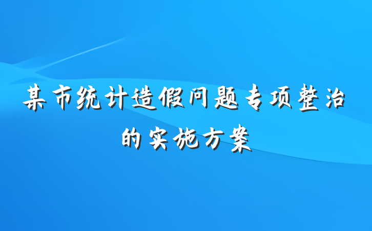 某市统计造假问题专项整治的实施方案