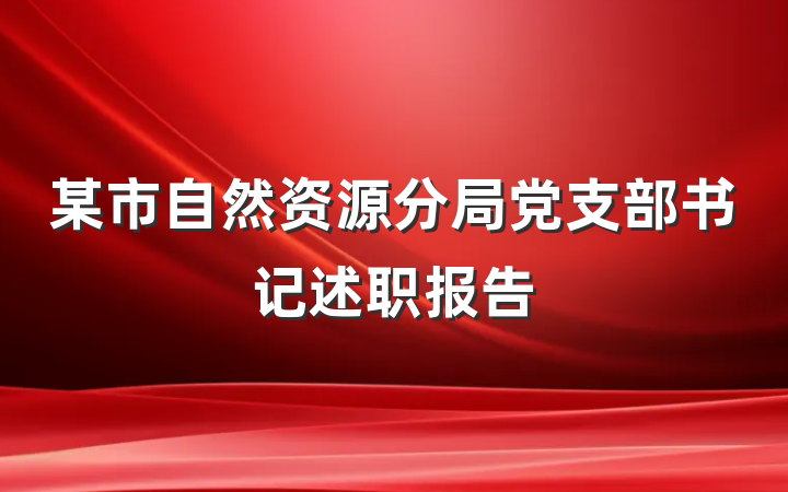某市自然资源分局党支部书记述职报告