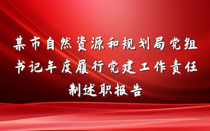 某市自然资源和规划局党组书记年度履行党建工作责任制述职报告