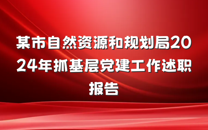 某市自然资源和规划局2024年抓基层党建工作述职报告