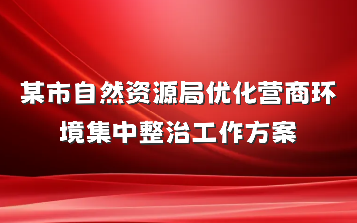 某市自然资源局优化营商环境集中整治工作方案