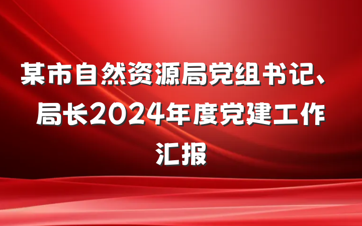 某市自然资源局党组书记、局长2024年度党建工作汇报