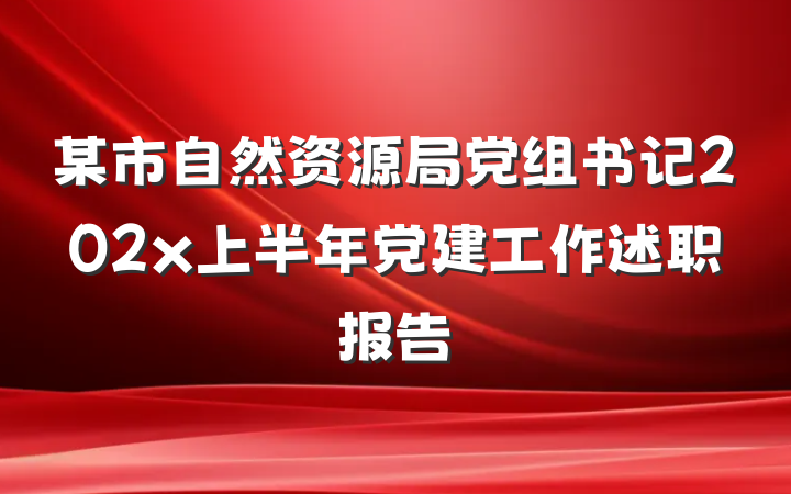 某市自然资源局党组书记202x上半年党建工作述职报告