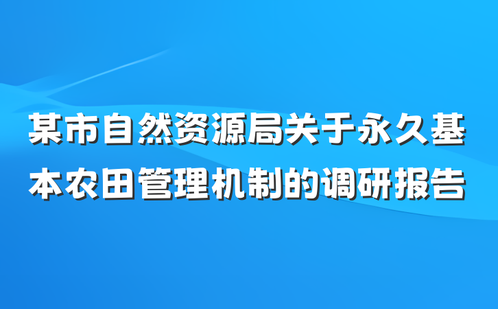 某市自然资源局关于永久基本农田管理机制的调研报告