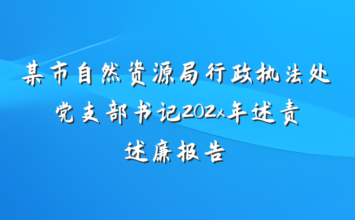 某市自然资源局行政执法处党支部书记202x年述责述廉报告