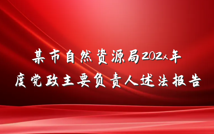 某市自然资源局202x年度党政主要负责人述法报告