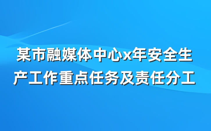 某市融媒体中心x年安全生产工作重点任务及责任分工