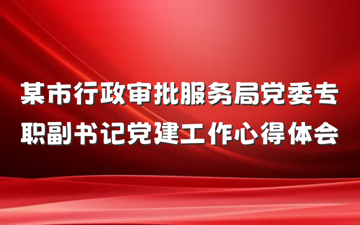 某市行政审批服务局党委专职副书记党建工作心得体会