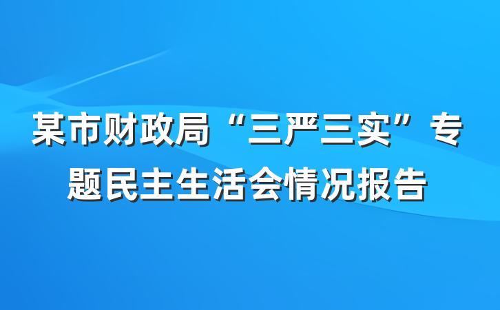 某市财政局“三严三实”专题民主生活会情况报告