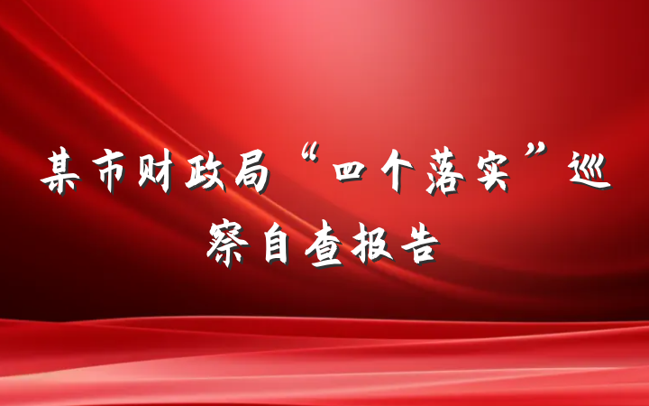 某市财政局“四个落实”巡察自查报告