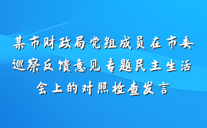 某市财政局党组成员在市委巡察反馈意见专题民主生活会上的对照检查发言