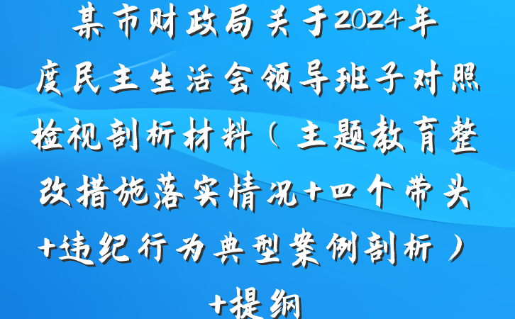 某市财政局关于2024年度民主生活会领导班子对照检视剖析材料（主题教育整改措施落实情况+四个带头+违纪行为典型案例剖析） 提纲