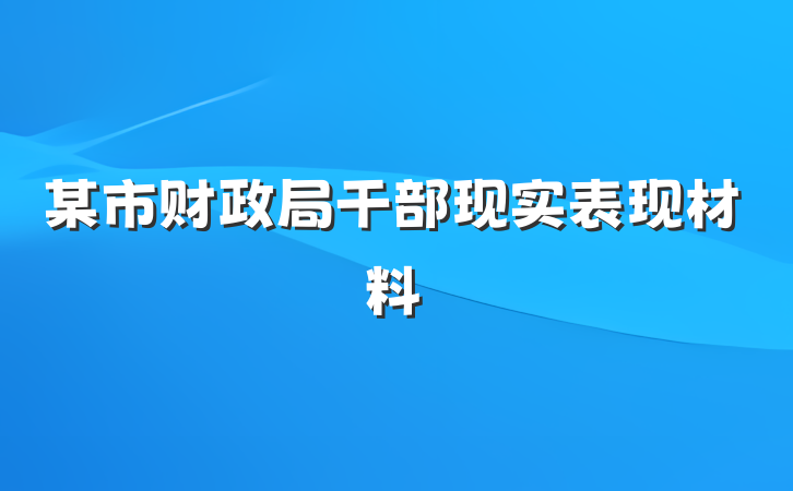 某市财政局干部现实表现材料