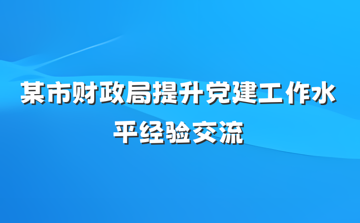 某市财政局提升党建工作水平经验交流