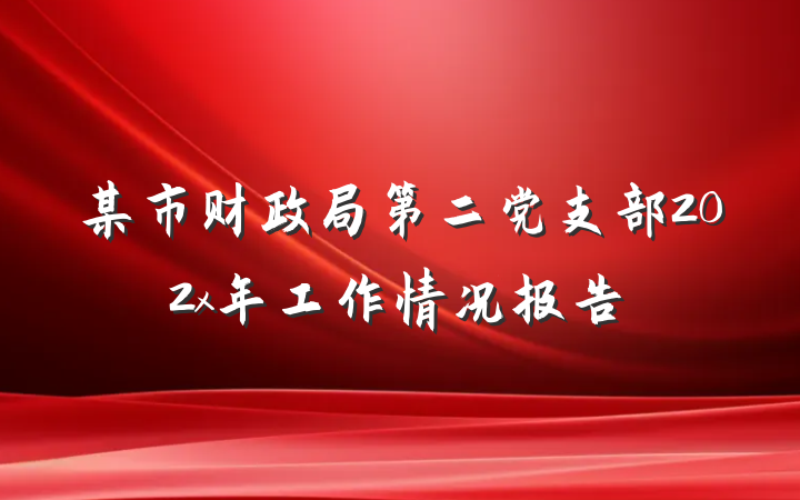 某市财政局第二党支部202x年工作情况报告