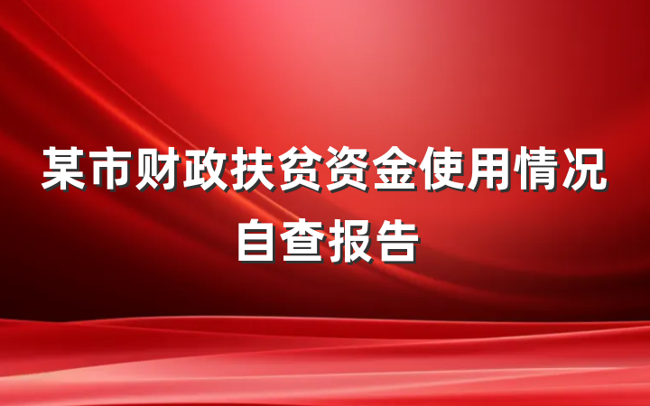 某市财政扶贫资金使用情况自查报告