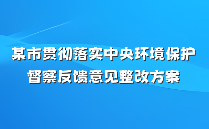 某市贯彻落实中央环境保护督察反馈意见整改方案