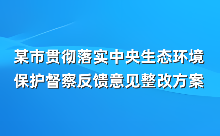 某市贯彻落实中央生态环境保护督察反馈意见整改方案