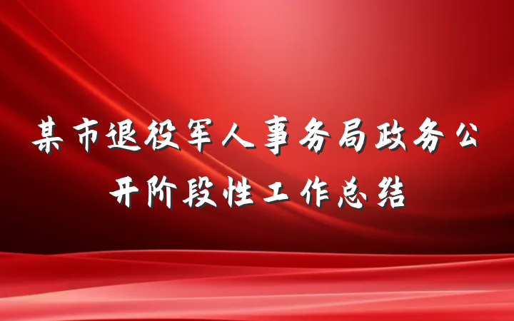 某市退役军人事务局政务公开阶段性工作总结