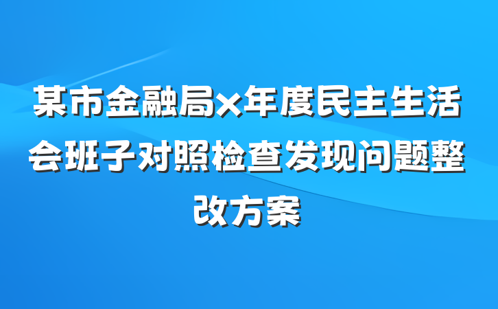 某市金融局x年度民主生活会班子对照检查发现问题整改方案