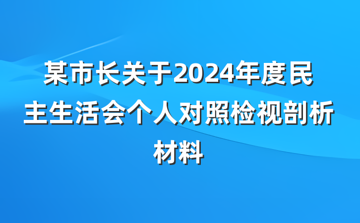 某市长关于2024年度民主生活会个人对照检视剖析材料