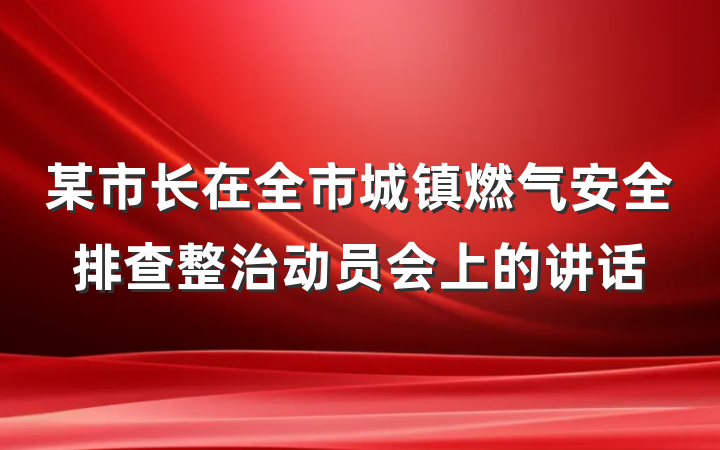 某市长在全市城镇燃气安全排查整治动员会上的讲话