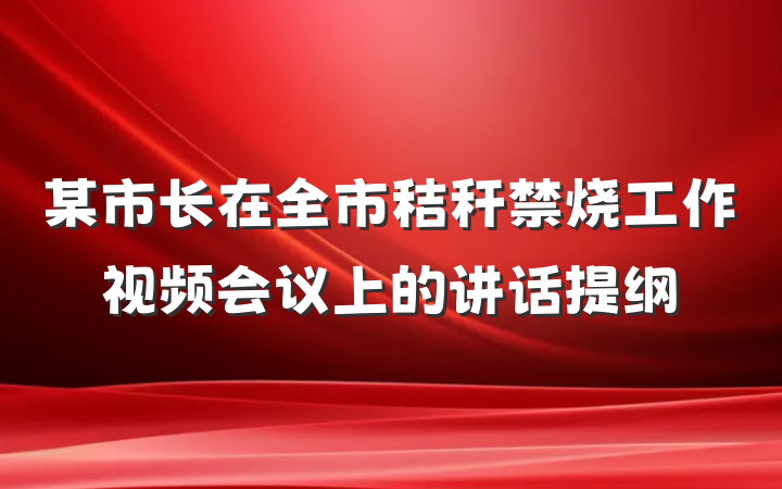 某市长在全市秸秆禁烧工作视频会议上的讲话提纲