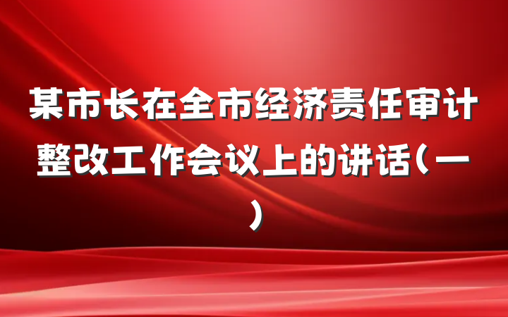 某市长在全市经济责任审计整改工作会议上的讲话（一）