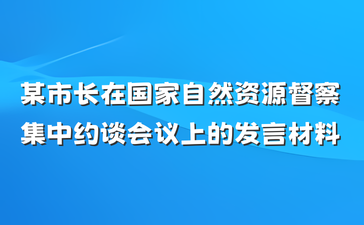 某市长在国家自然资源督察集中约谈会议上的发言材料