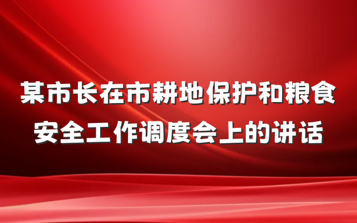 某市长在市耕地保护和粮食安全工作调度会上的讲话