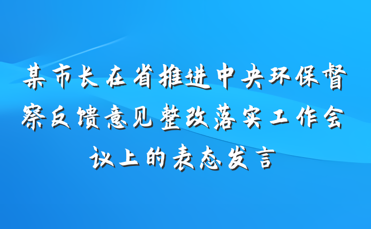 某市长在省推进中央环保督察反馈意见整改落实工作会议上的表态发言
