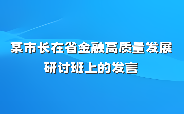 某市长在省金融高质量发展研讨班上的发言
