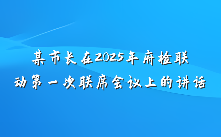 某市长在2025年府检联动第一次联席会议上的讲话
