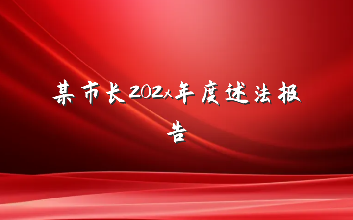 某市长202x年度述法报告
