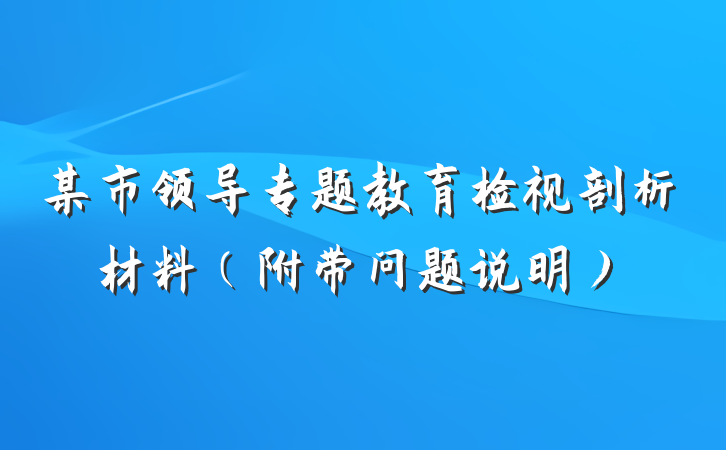 某市领导专题教育检视剖析材料（附带问题说明）