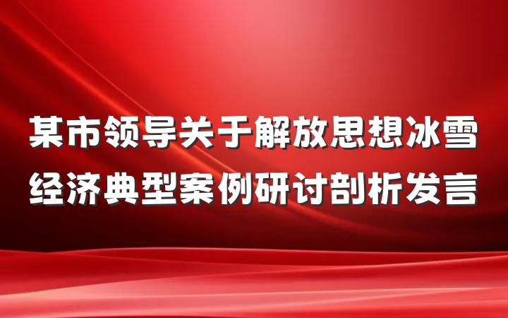 某市领导关于解放思想冰雪经济典型案例研讨剖析发言
